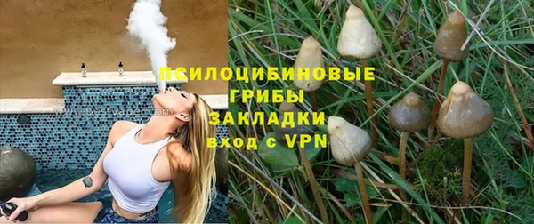 таблы Сосновоборск