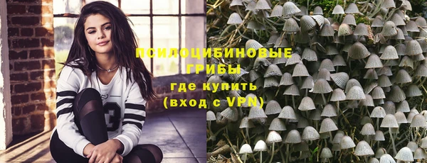 таблы Сосновоборск