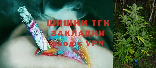 2c-b Сосновка