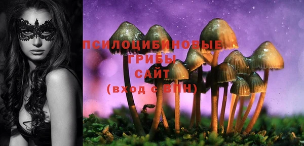дмт Сосновый Бор