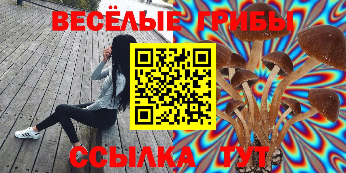 Галлюциногенные грибы Magic Shrooms Чапаевск
